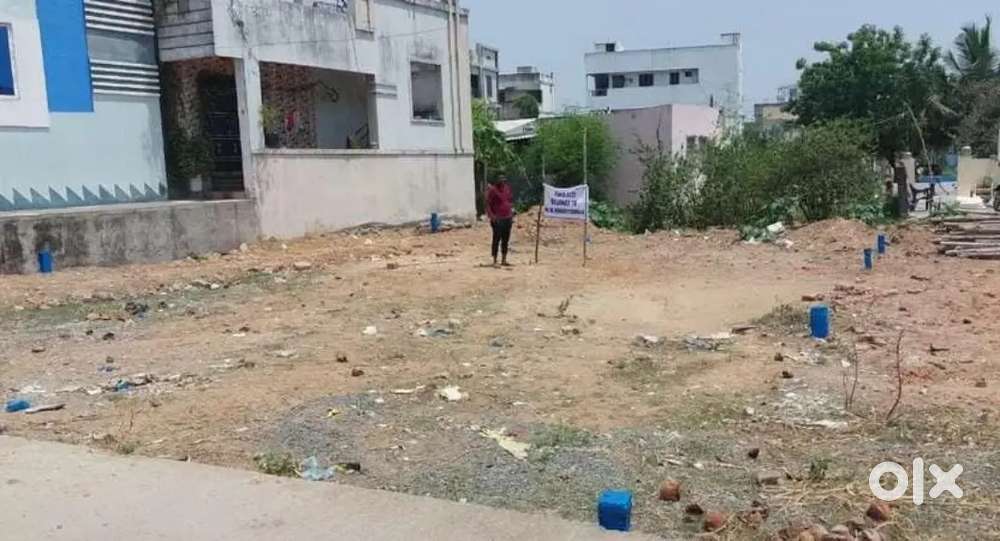 House alltestion works