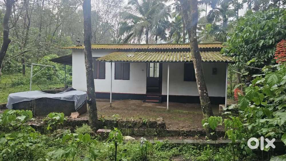 5 cent സ്ഥലവും നല്ലൊരു വീടും, ചെറുപുഴ പുളിങ്ങോത്തിനടുത്ത്. വില 6 Lack