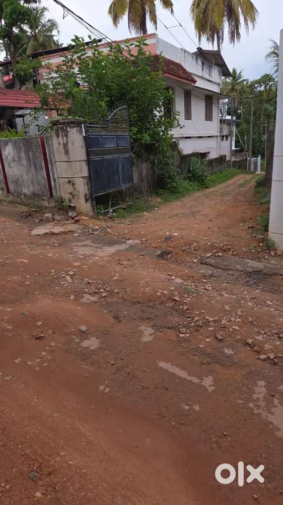 15 cent lorry access plot at pothujanam lane,Kumarapuram