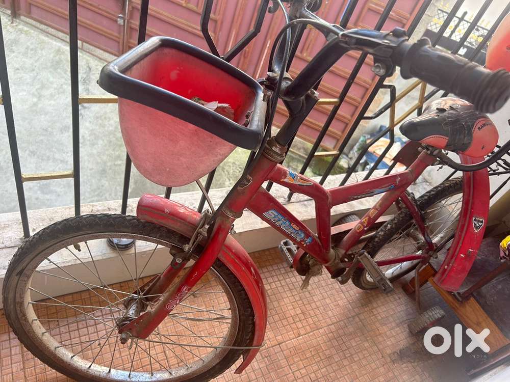 Bicycle for adult