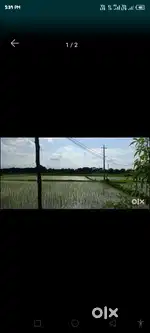 Agriculture land, peddaramcharla village jangoan
