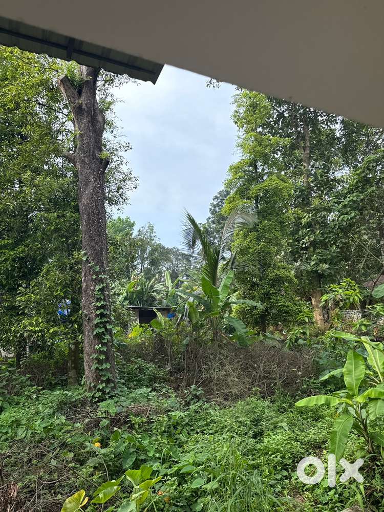 Housing plot at Valayanchirangara perumbavoor