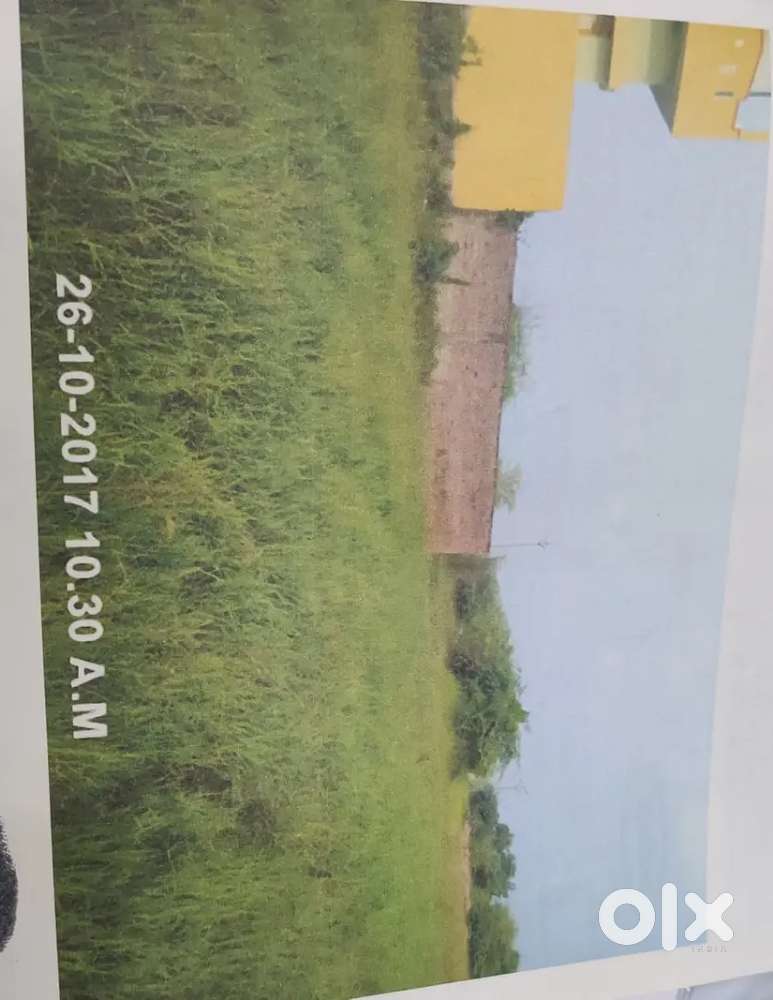 199 gajalu, goli donka, Tenali