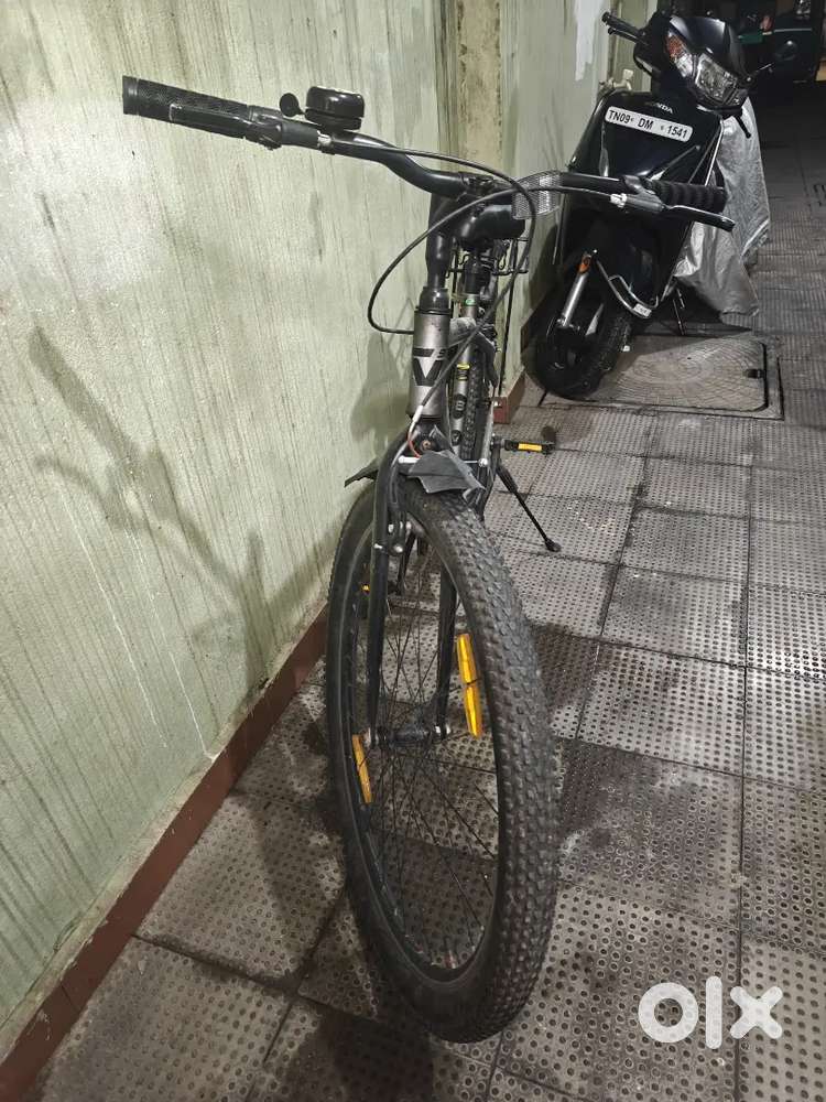 My new cycle