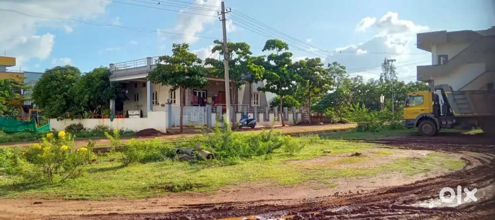 Peacefull rented house