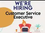 CUSTOMER SERVICE EXECUTIVE