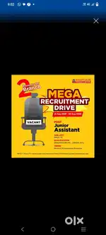 Junior assistant