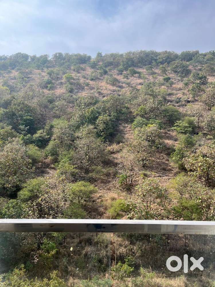 2 bedroom flat available for rent only