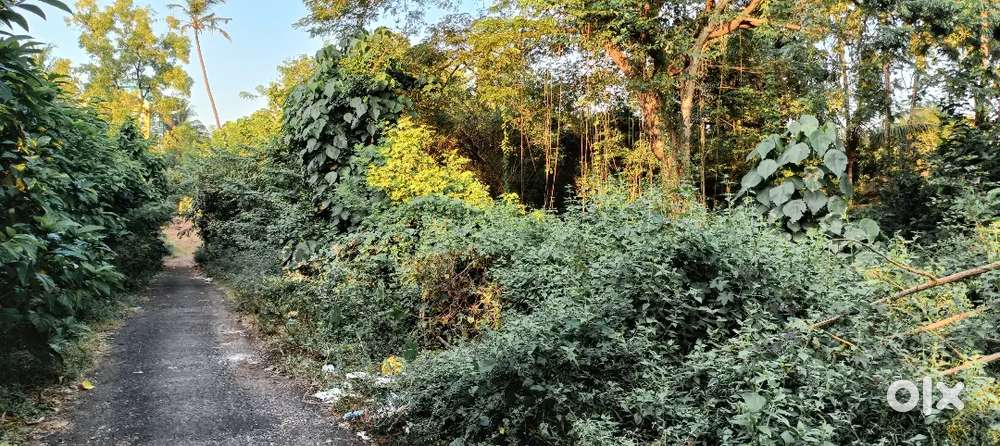 Plot sale sankli nr ravinder bhavan