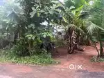 Plot for sale