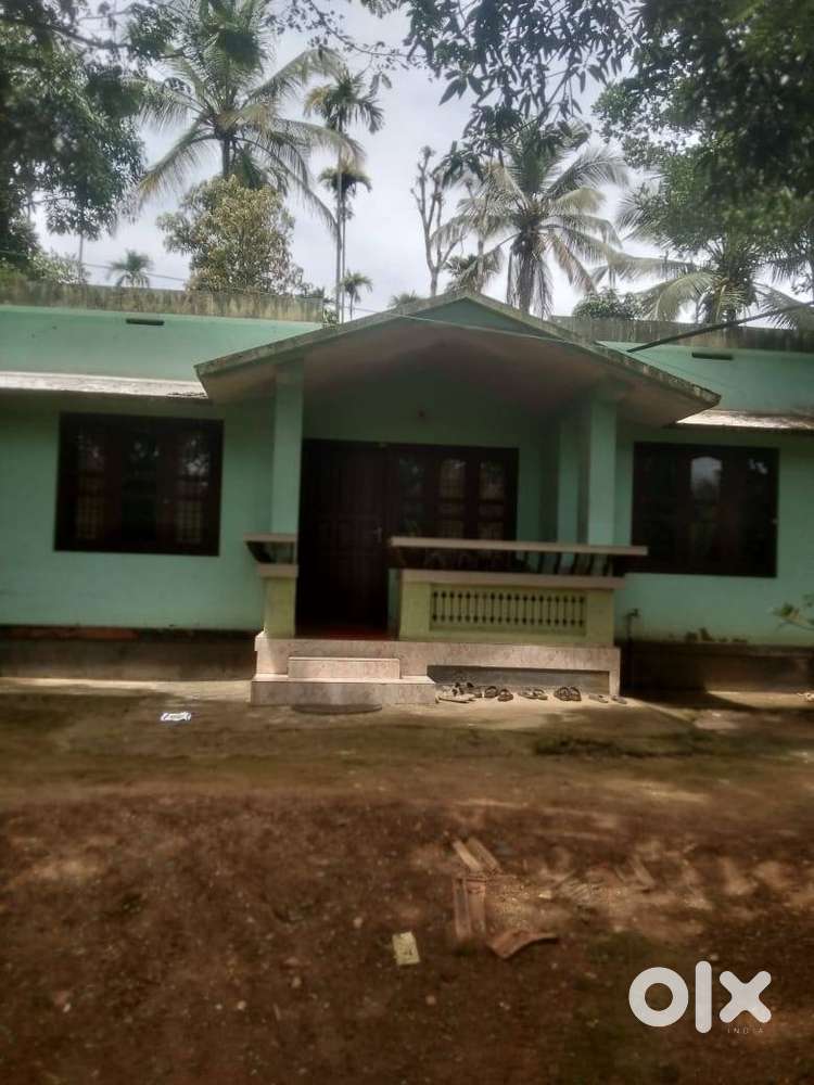 A paddy-banana view house with 35 cents of land