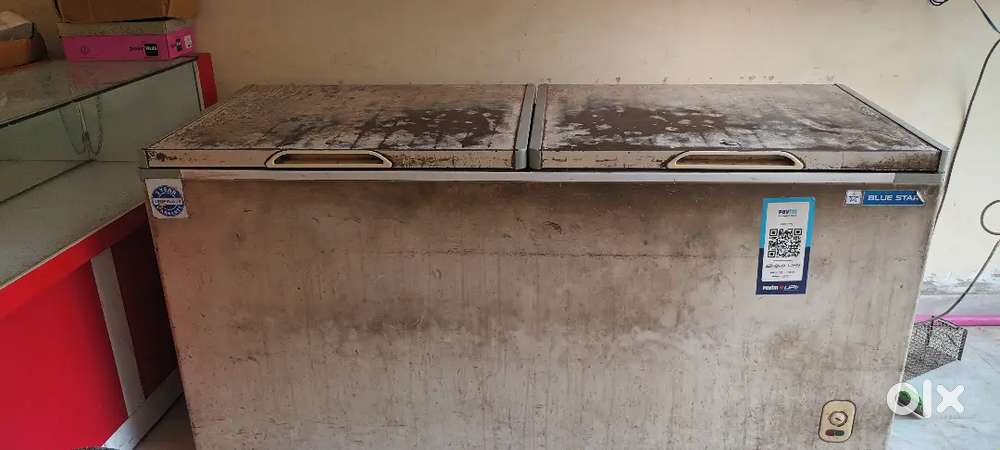 Blue star de freezer 500 ltr
