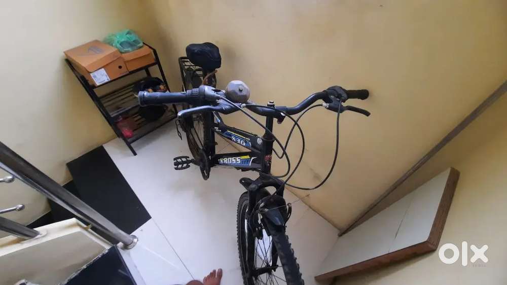 3 year old cycle