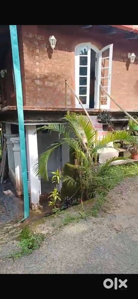 Moira 1+1 room isolated house for rent 39k/month fully furnished