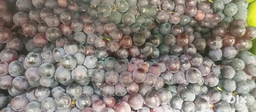 Sugarcane juice space available for rent at abids.opp gpo daily rent