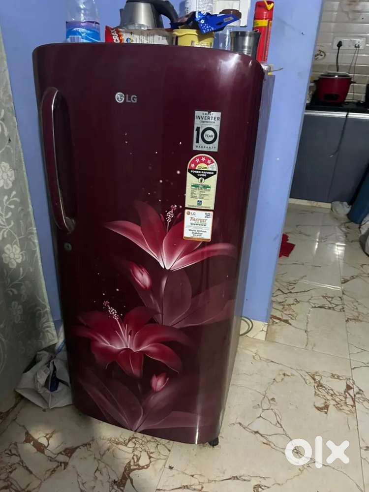 Refrigerator Single door