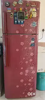 Vedicon fridge