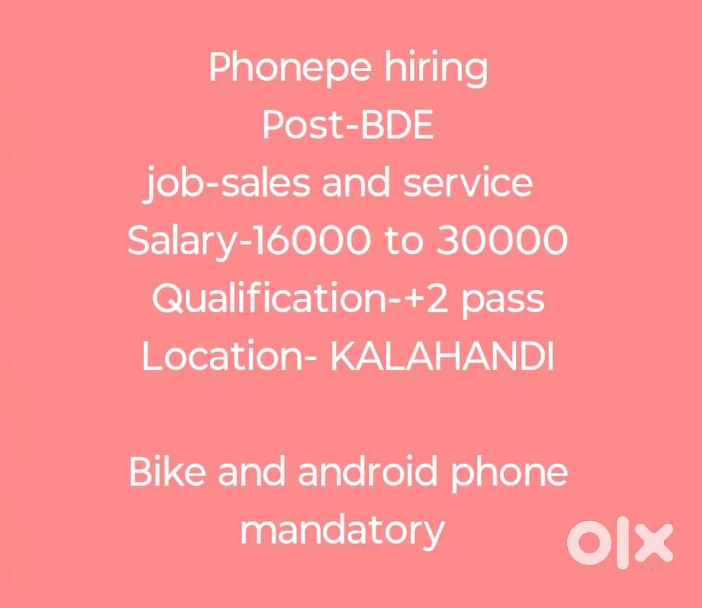 Business development executive