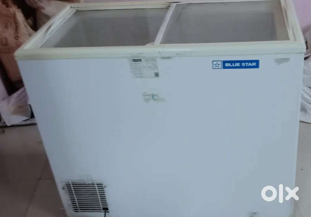 Bluestar Deep freezer