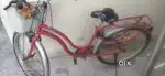 BSA SLR dazz bycycle