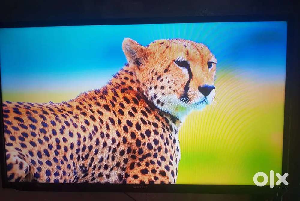Samsung Tv