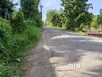 1 acre bus route frontage land for sale in kanjoor parappuram,Airport