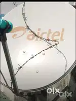 DD FREE DOSH CHATTRI