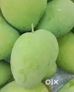 ULAVAPADU mangoes