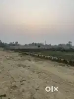 Residential land for sale in dappar