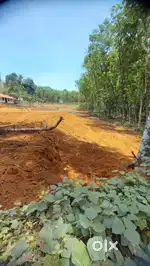 House Plots Sale Near Kumaramagalm-Thodupuzha
