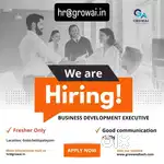 Business Development Executive Job Work From Office