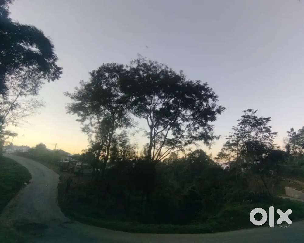 Want To Sell A Plot Of Land At Kapayong Sector Mokokchung.