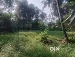 19 Cent house plot in bypass Perunna, Changanacherry