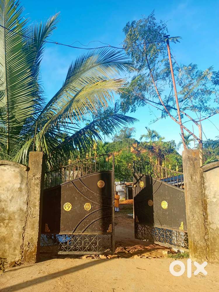 5 katha land with proper electricity connection,borewell