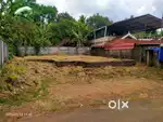 4.3 CENTS RESIDENTIAL PLOT FOR SALE IN KUTTUR, THRISSUR