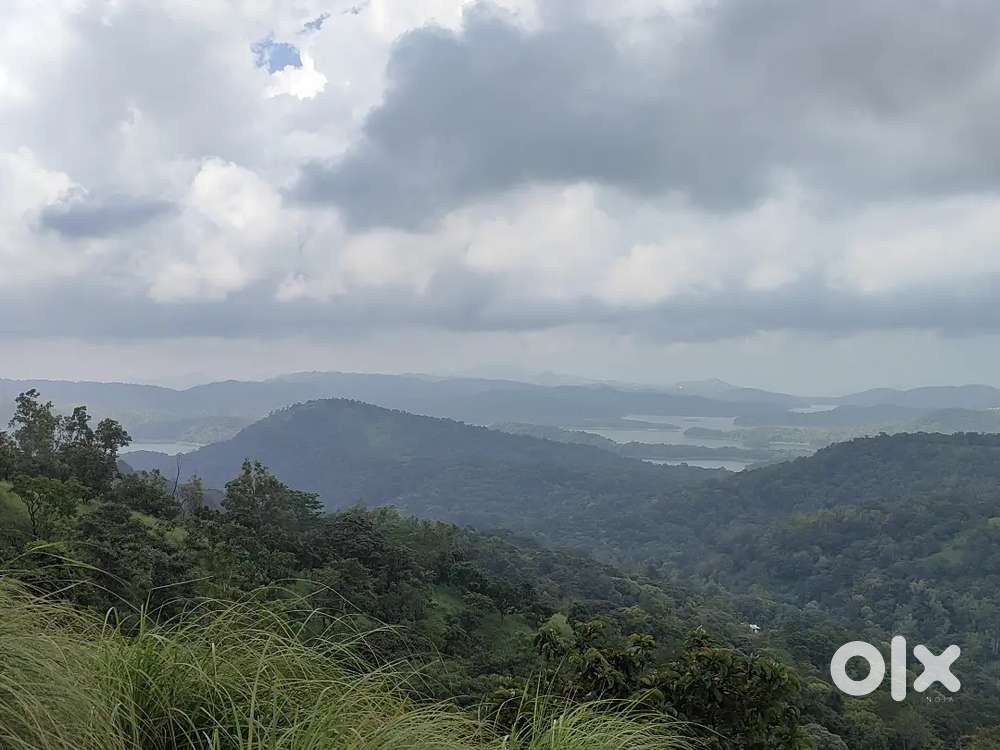 Shop for rent godown and shop in Mukkoothuthara