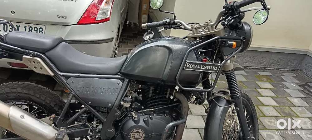 Himalayan, 1st Edison