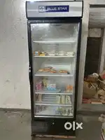 2 months old Blue Star 595 lts. fridge