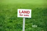 20 Acres Land For Sale in Kakkanad