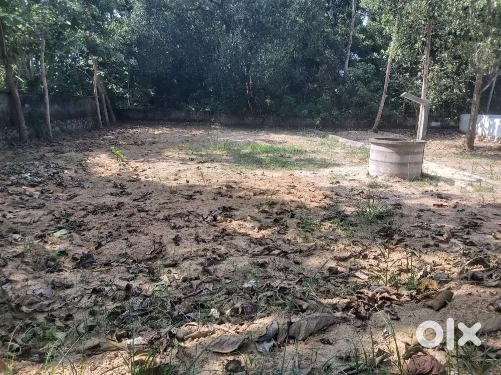 10 cents land for sale.