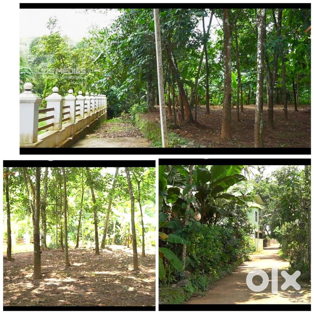 വസ്തു വില്‍പ്പനക് land for sale