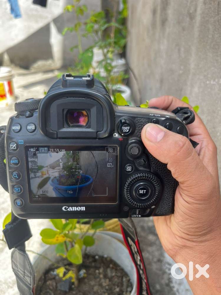Canon 5D mark4 (shutter clicks 9430)just 2.5 year’s old
