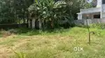 Plot sale  NH 1/2 KM DIATANCE