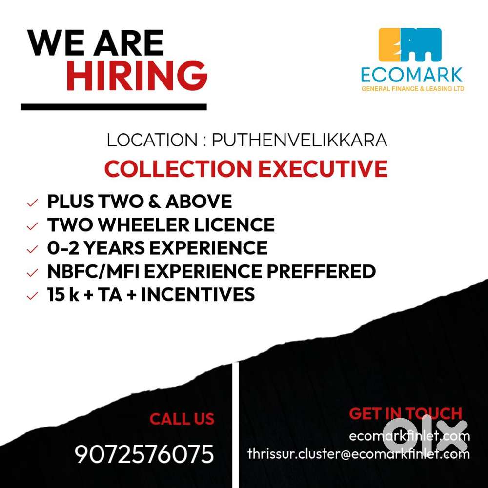 Collection Executive