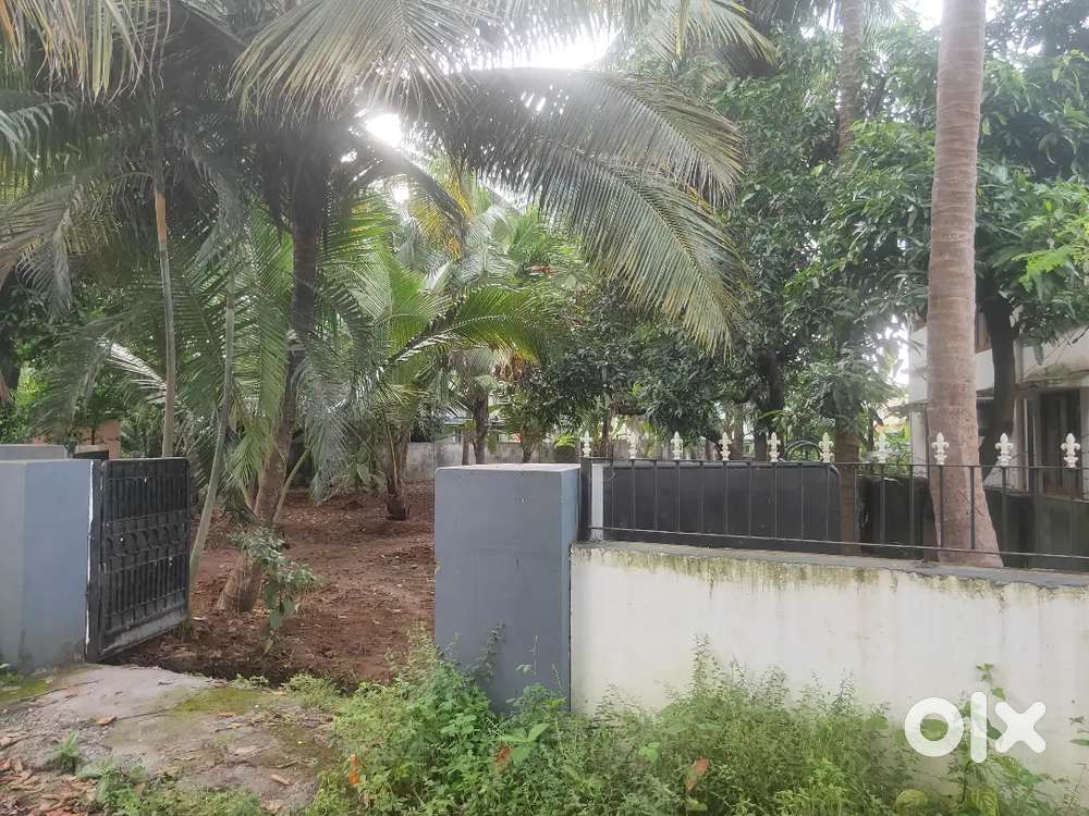 Residential Plot for sale near Stadium Bus stand Palakkad