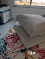 20 inch set of  5  grey cushions