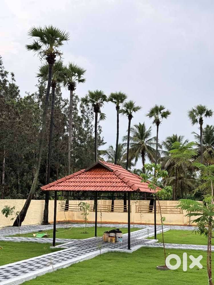 Low Budget DTCP PLOT sale in Kovilpalayam