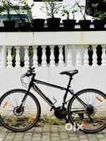 Triad Cycle | 7-Speed Shimano | Alloy Frame | Hybrid Tyres