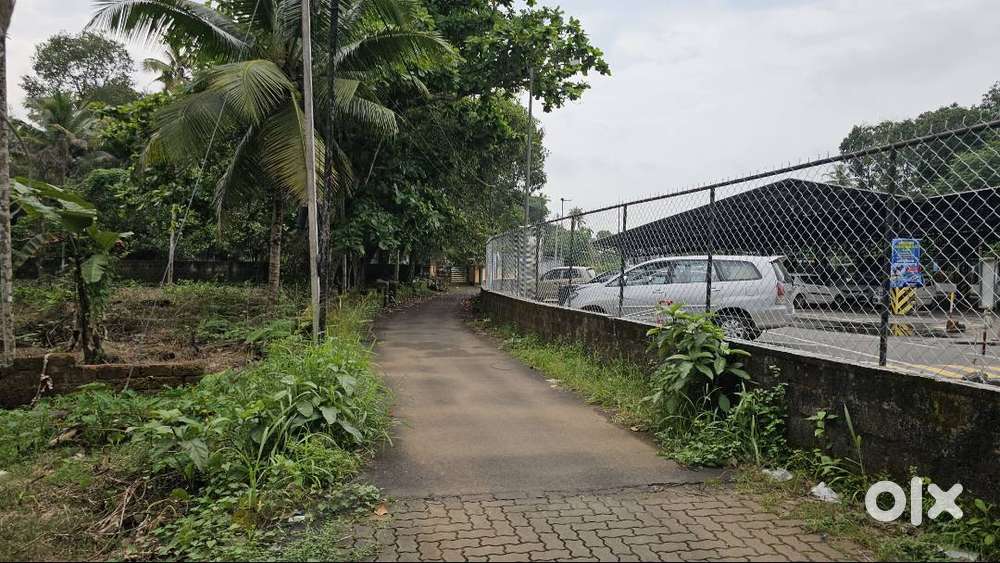 Property/ Plots for sale in Muvattupuzha town center