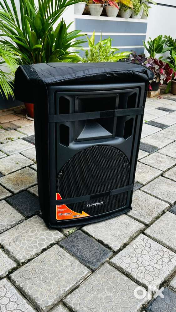 Dynatech 12 inch Speaker  Fresh Piece